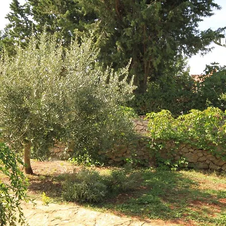 With A Parking Space - 8241