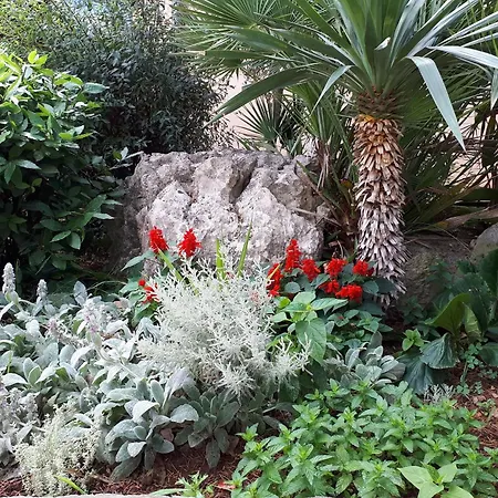 With A Parking Space - 8241 أوغليان